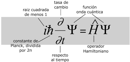 cap14.jpg