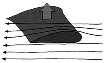 01-12.jpg