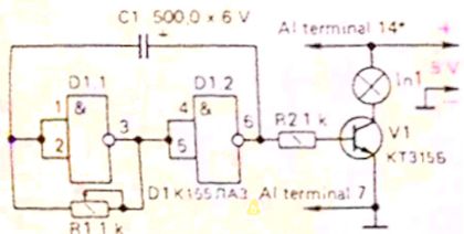 215.jpg