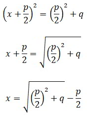 95.jpg