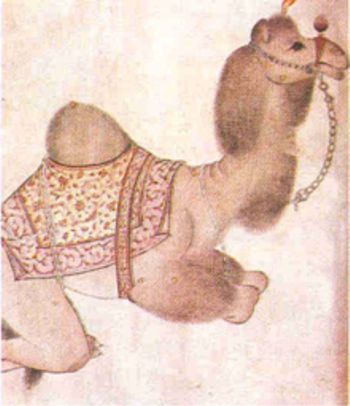 279a.jpg