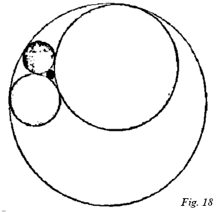 164.jpg