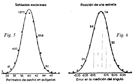010.jpg