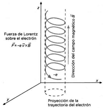 07.jpg