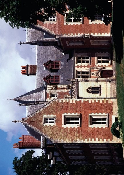 141.jpg