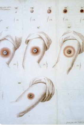 105.jpg