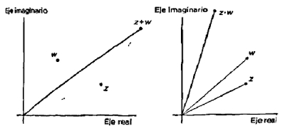 102.jpg