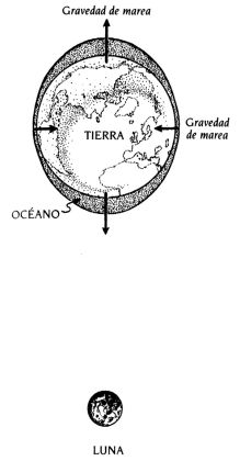 img020.jpg