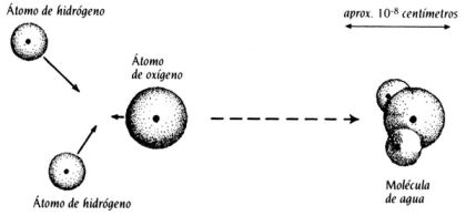 img045.jpg