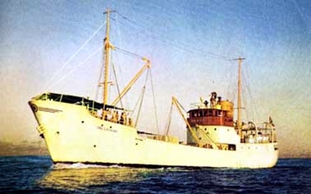 01.jpg