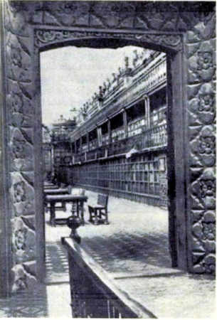 56.jpg