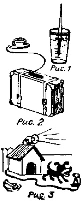 image1.jpg