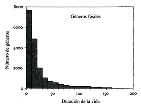 05-06a.jpg