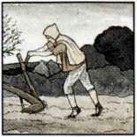 137.jpg