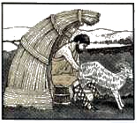 139.jpg
