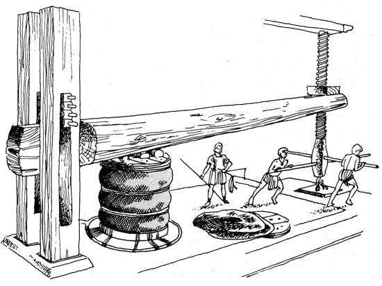 149.jpg