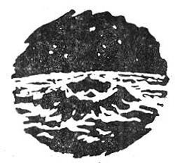 cap02fin.jpg