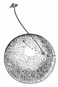 fig025.jpg