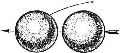 fig027.jpg