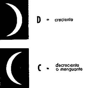 fig030.jpg