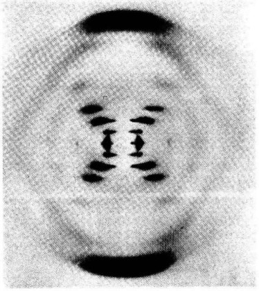 053.jpg