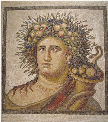 33.jpg