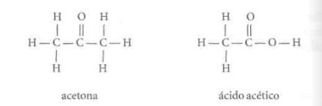 formula04