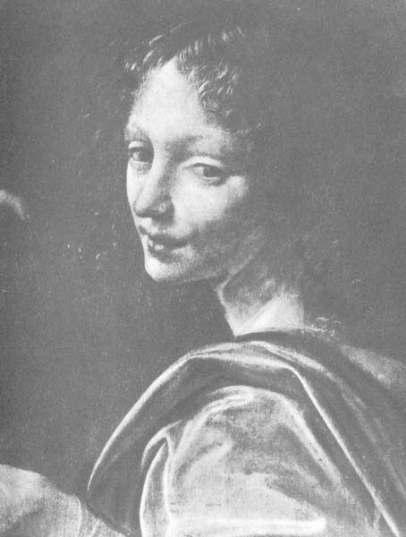davinci13.jpg