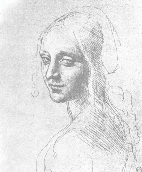 davinci16.jpg