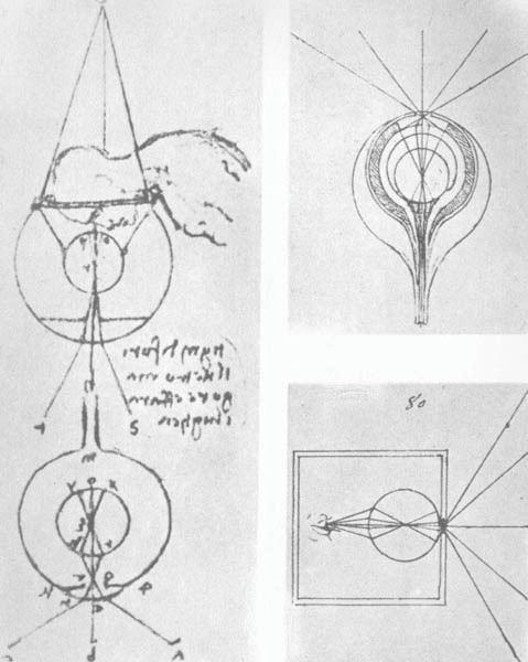 davinci33.jpg