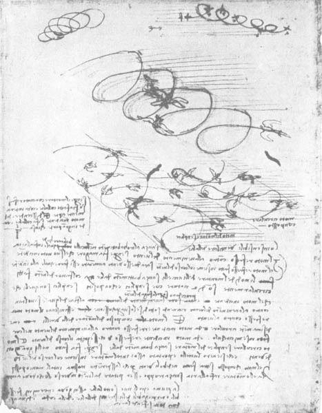 davinci48.jpg
