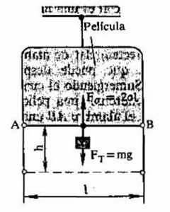 f045