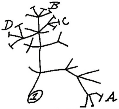 65.jpg