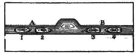 figura017.jpg