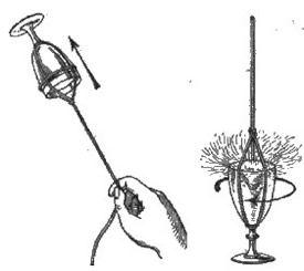figura247-248.jpg