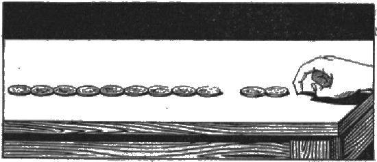 figura263.jpg