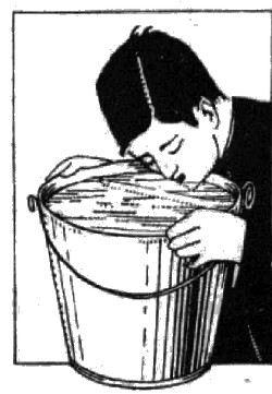 figura276.jpg