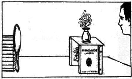 figura426.jpg
