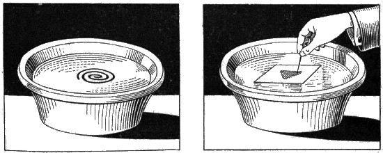 figura599-600.jpg