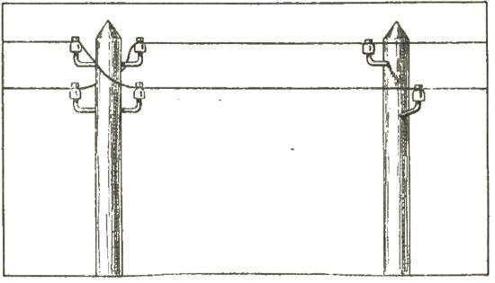 figura674.jpg