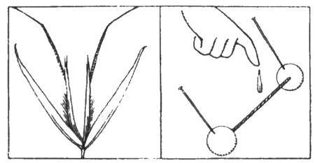 figura739-740.jpg