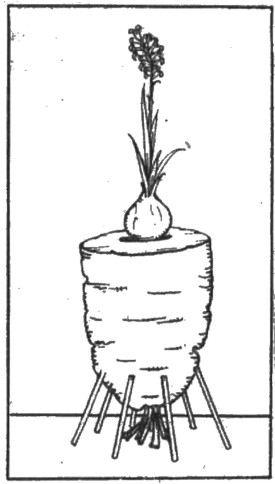 figura870.jpg