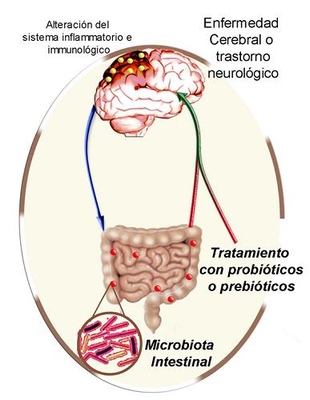 190.jpg