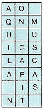 209.jpg
