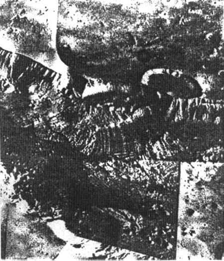 173.jpg