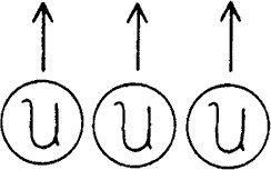 100.jpg