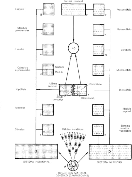 tabla18.jpg