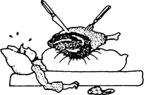 012.png