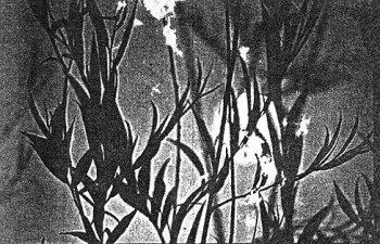 03-25