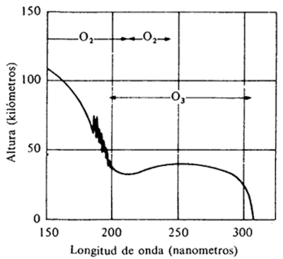 tabla06.png
